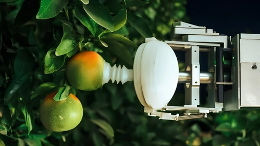 Robotic arm with rounded white gripper reaching toward ripe citrus fruit hanging on a leafy green tree